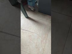 Τριχοειδές DLX Medical πλατίνας-ιριδίου